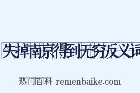 失掉南京得到无穷反义词是什么意思的图片